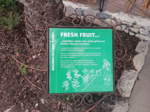 Eden Project
