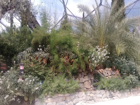 Eden Project