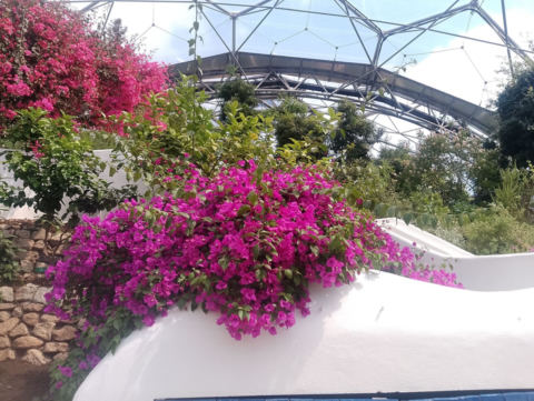 Eden Project