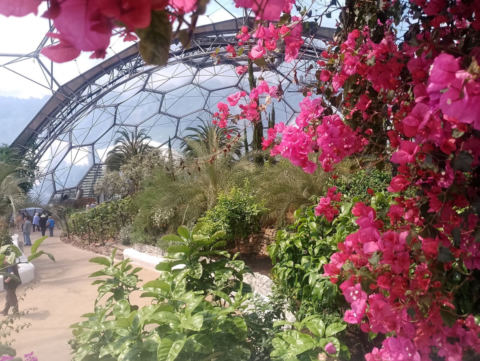 Eden Project