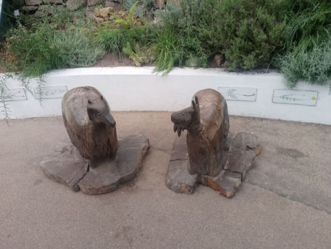 Eden Project