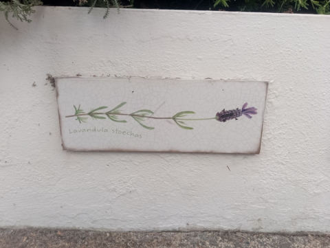 Eden Project