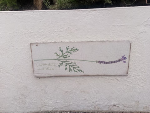 Eden Project