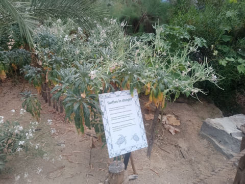 Eden Project
