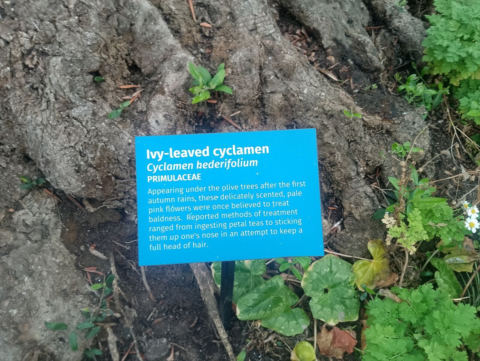 Eden Project