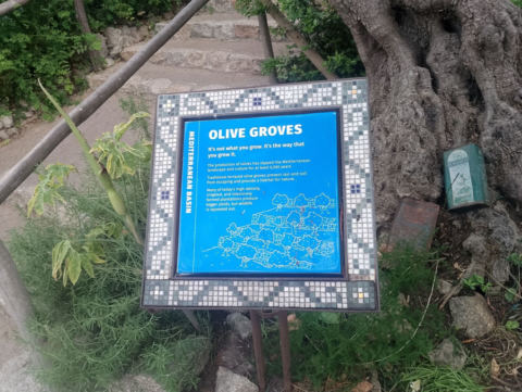 Eden Project