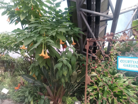Eden Project