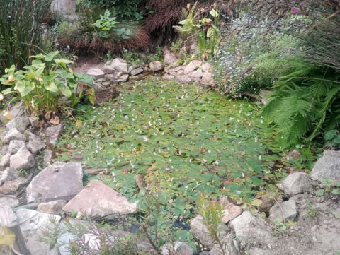 Eden Project