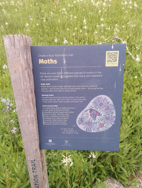 Eden Project
