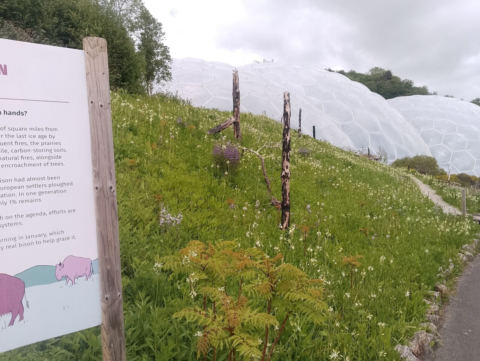 Eden Project