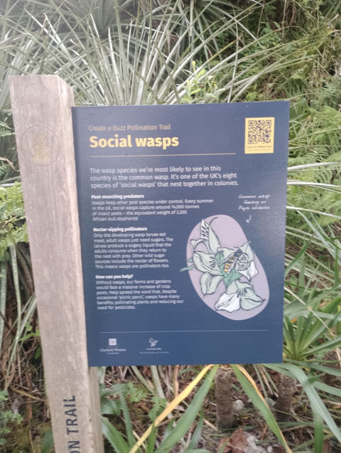 Eden Project