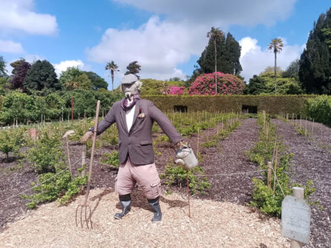Scarecrow in the vegetable gardens
