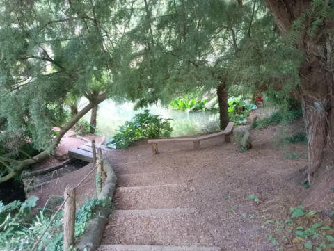 Steps into the valley