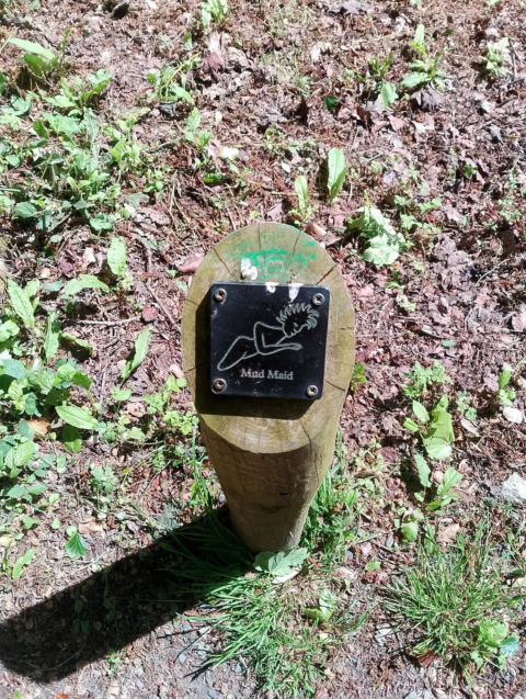 Garden path