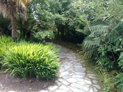 Stone path through tropical plants