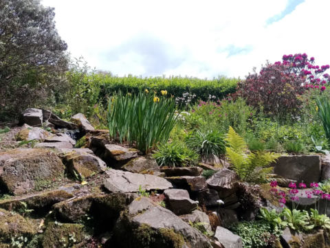 Lush garden path