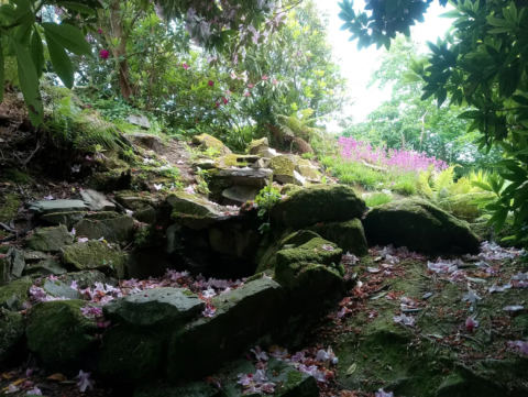 Garden pathway