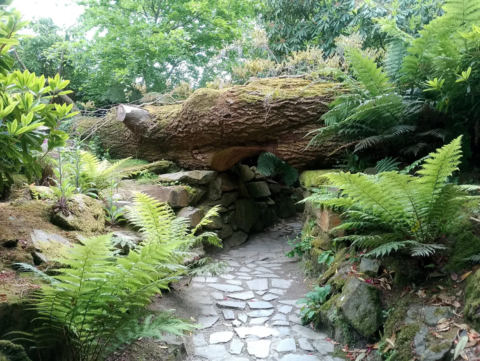Stone steps in the garden