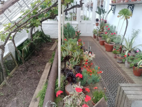 Floral border