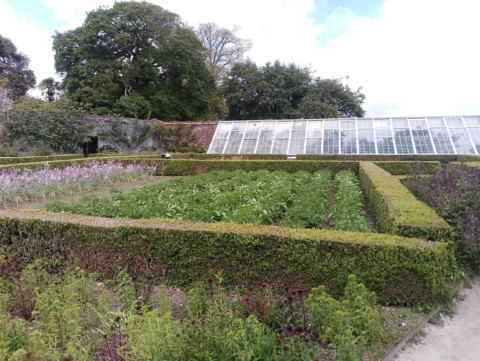 Steward's House area