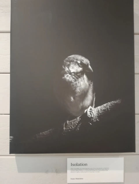 Exhibition display