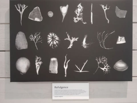 Display