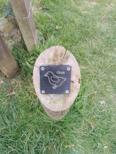 Chick trail marker