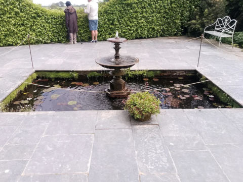 Final garden views