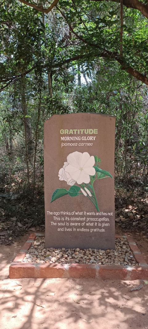 Grattitude