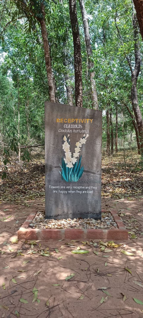 Receptivity