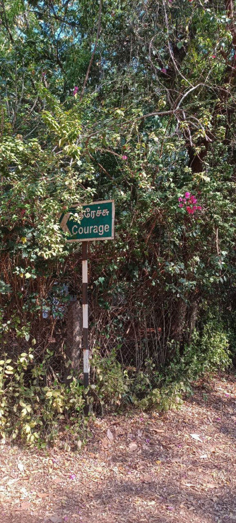 Courage st.