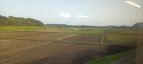 Tokyo Energy
