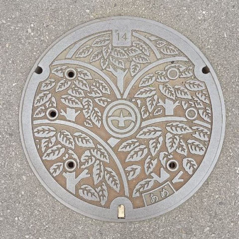 lid