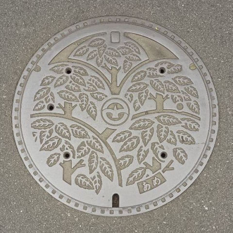 lid