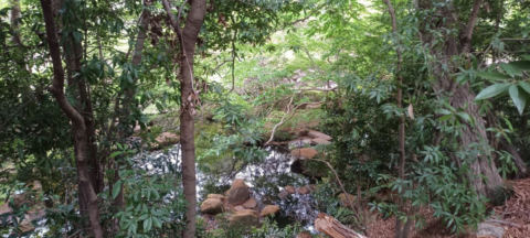 Machida Park