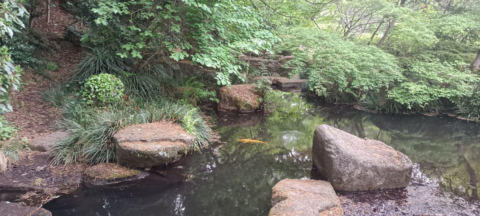 Machida Park