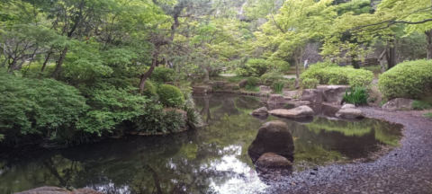 Machida Park