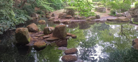 Machida Park