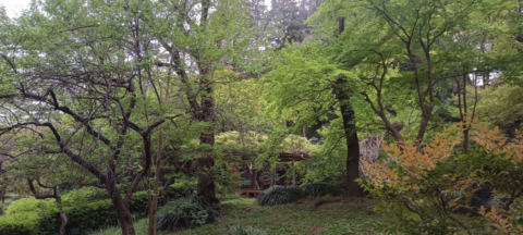 Machida Park