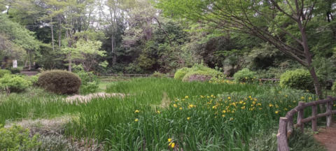 Machida Park