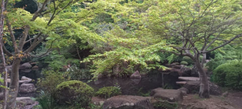 Machida Park