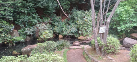 Machida Park