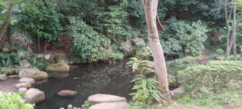 Machida Park