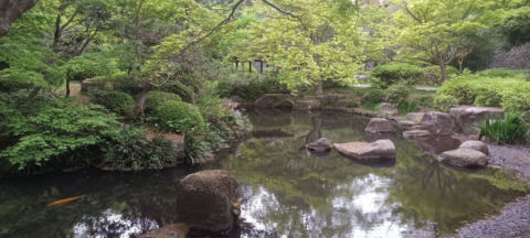 Machida Park