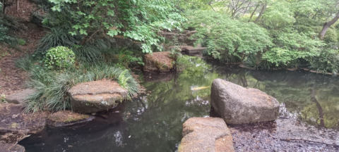 Machida Park