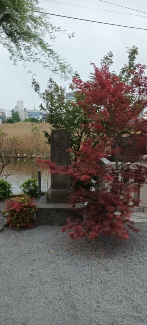 Uneo Park