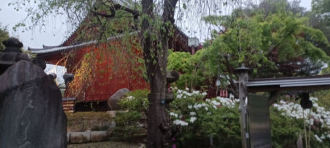 Uneo Park