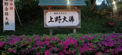 Uneo Park