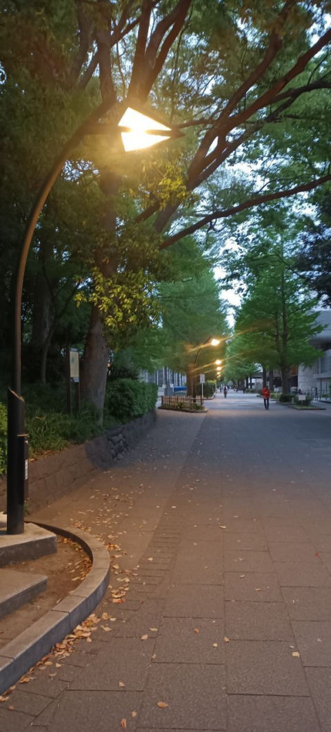 Uneo Park