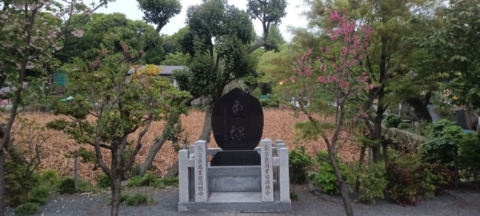Uneo Park